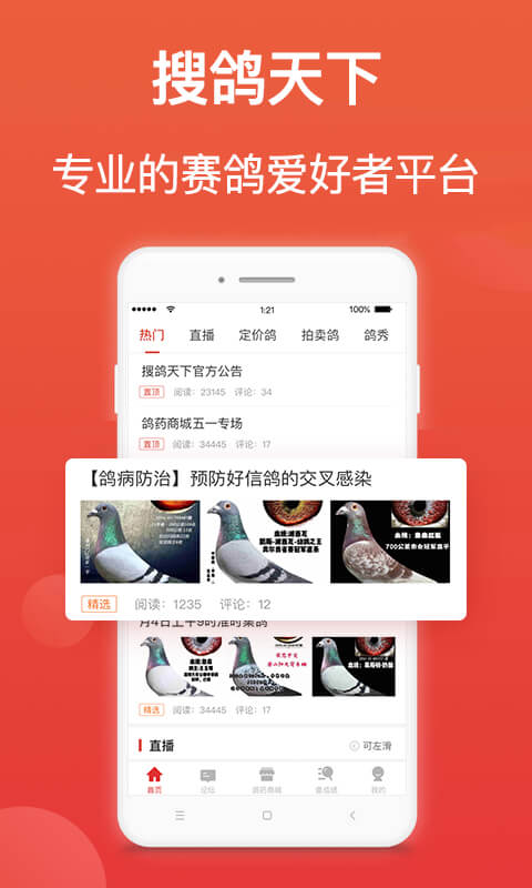 赛鸽头条下载安装