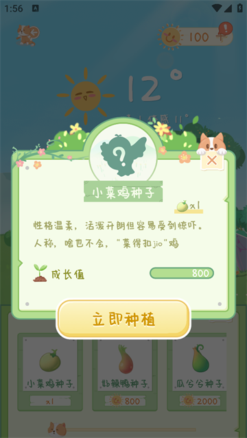 菜宠天气软件