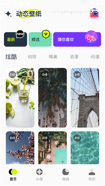 手机动态壁纸大全官方版