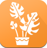 植物品鉴app v1.0安卓版