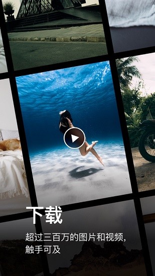 Pexels官方app手机版 v5.7.8 安卓版