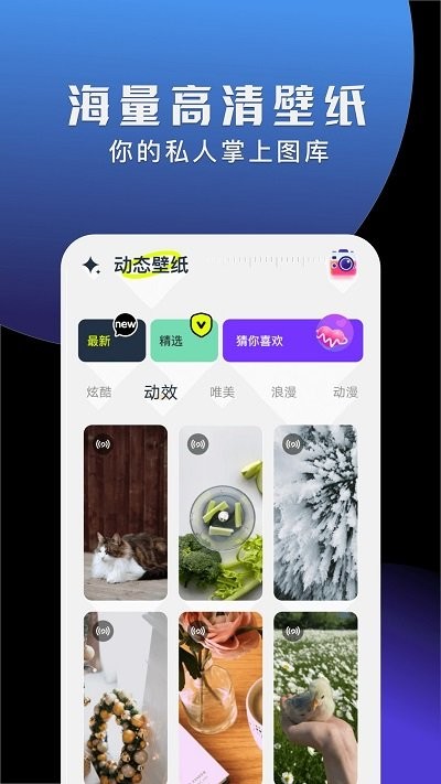 手机动态壁纸大全官方版 v1.2 最新版