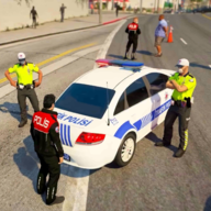 土耳其警察模拟器 v0.0.1 安卓版