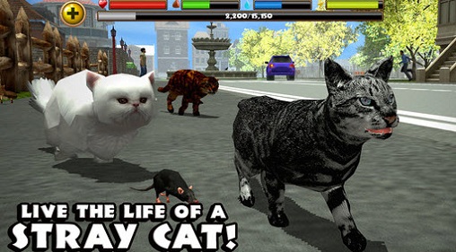 流浪猫模拟器(StrayCatSim) v1 安卓版