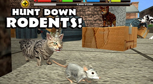 流浪猫模拟器(StrayCatSim) v1 安卓版
