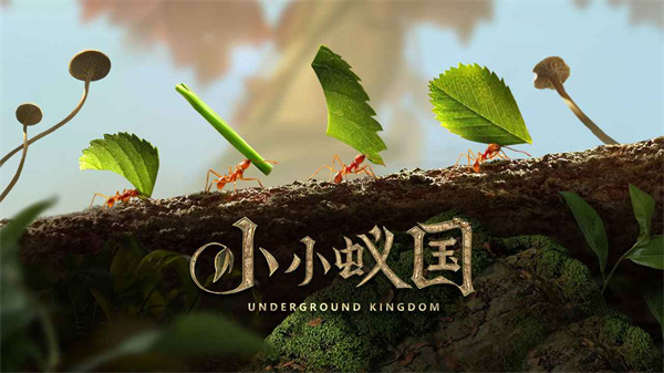 小小蚁国官方下载 v1.29.0 安卓版