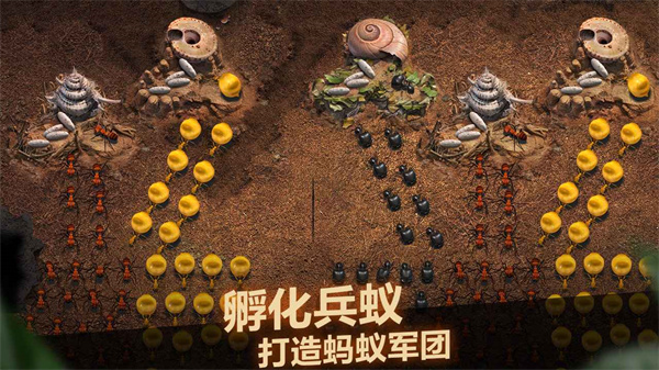 小小蚁国官方下载 v1.29.0 安卓版