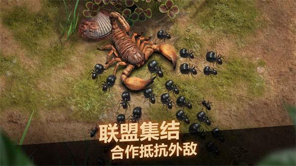 小小蚁国官方下载 v1.29.0 安卓版