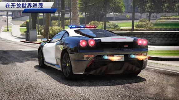 欧洲警车驾驶模拟游戏 v1.3 安卓版