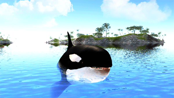 虎鲸模拟器下载(The Killer Whale) v1.0.9 安卓版