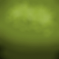 PVZ时空之旅写实版游戏 v0.0.2 安卓版