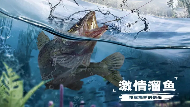 天天钓鱼下载 v1.3 最新版