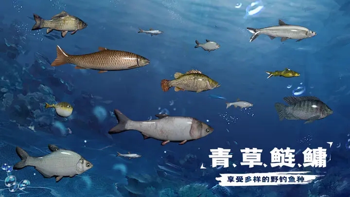 天天钓鱼下载 v1.3 最新版