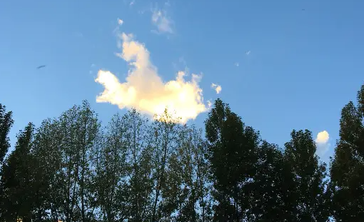 精选免费壁纸图片app下载