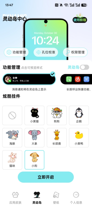 灵动皮肤小组件官方下载