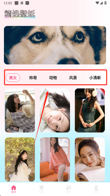 玫瑰壁纸app手机版下载