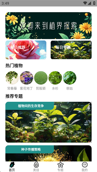 植界探索