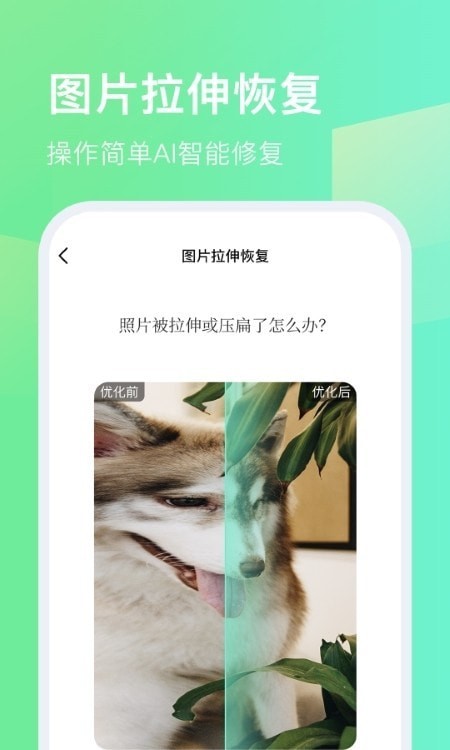 今天拍水印相机 v1.0.1 官方版
