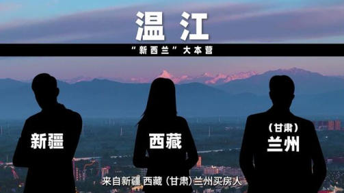 金温江app官方下载