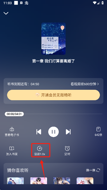 汤圆小说官方正版下载