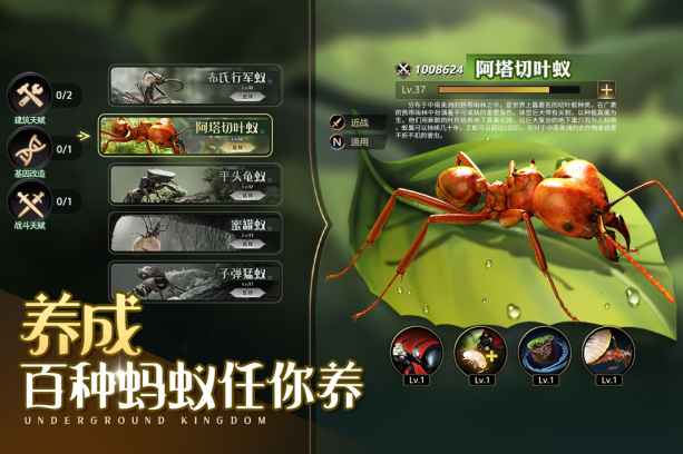 小小蚁国vivo客户端最新版2023