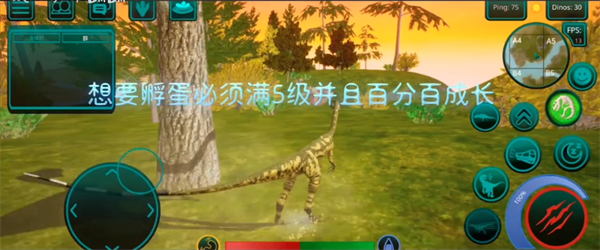 诅咒之岛官方下载正版