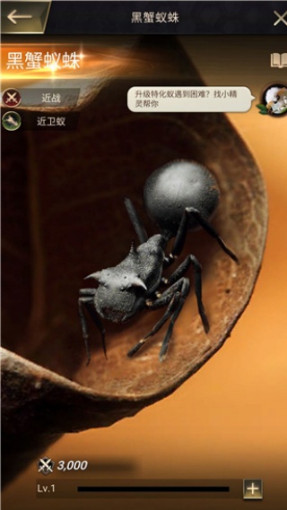 The Ants小小蚁国国际版下载官方正版