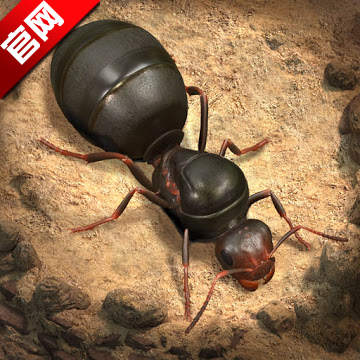 The Ants小小蚁国国际版下载官方正版 v3.75.0 最新版