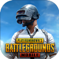 地铁逃生凯撒直装版下载(PUBG MOBILE) v3.6.0 安卓版