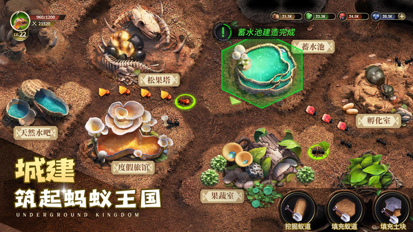 小小蚁国九游版下载2025最新版 v3.0.60 安卓版