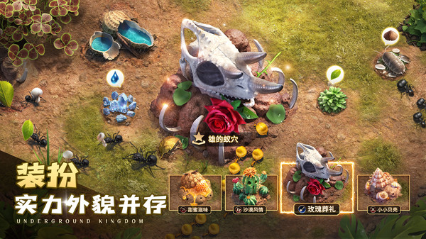 小小蚁国九游版下载2025最新版 v3.0.60 安卓版