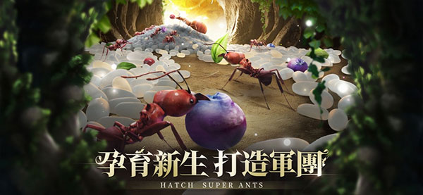The Ants小小蚁国国际版下载官方正版 v3.75.0 最新版