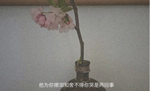 抖趣特效官方正版下载