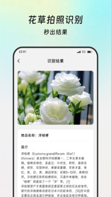 轻松扫描助手app下载 v1.0.0 安卓版