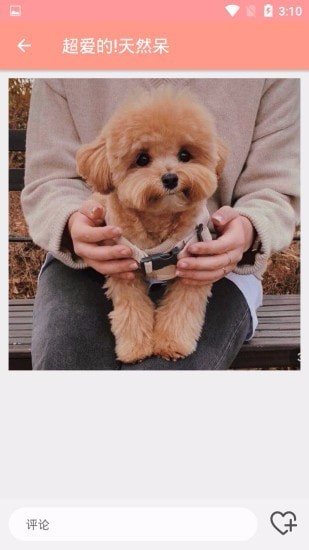 萌物集app下载 v1.0.0 安卓版