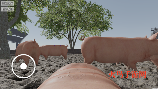 小猪的一生游戏