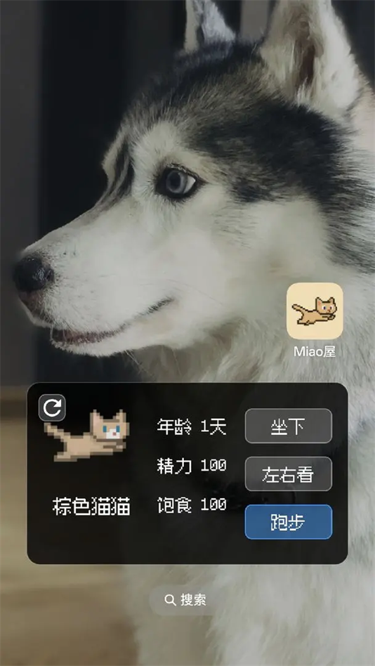 Miao屋手游最新版 v1.2.0 安卓版