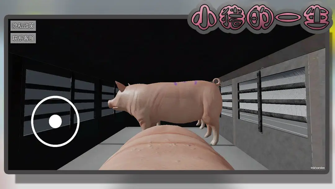 小猪的一生游戏 v10.5.1 手机版
