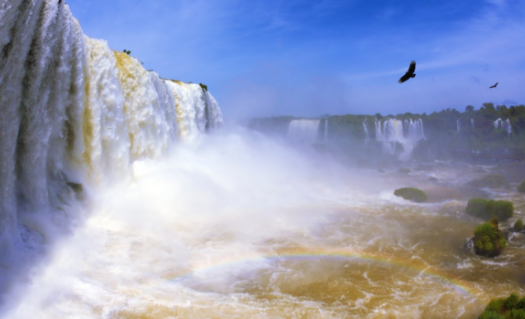 追剧猫app官方下载 追剧猫app官方下载