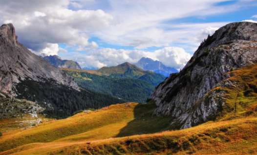 追剧猫app官方下载 追剧猫app官方下载