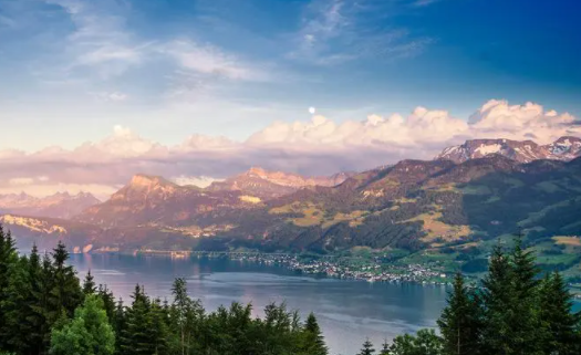 追剧猫app官方下载 追剧猫app官方下载