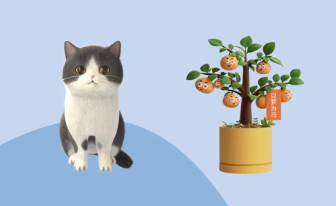 万象小组件app下载安卓版 万象小组件app下载安卓版