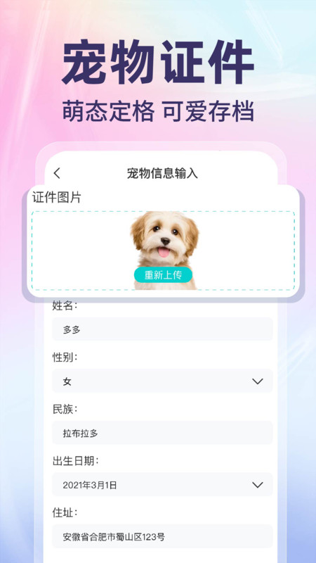 网络电子证件管家app最新版下载 v1.0.1 安卓版